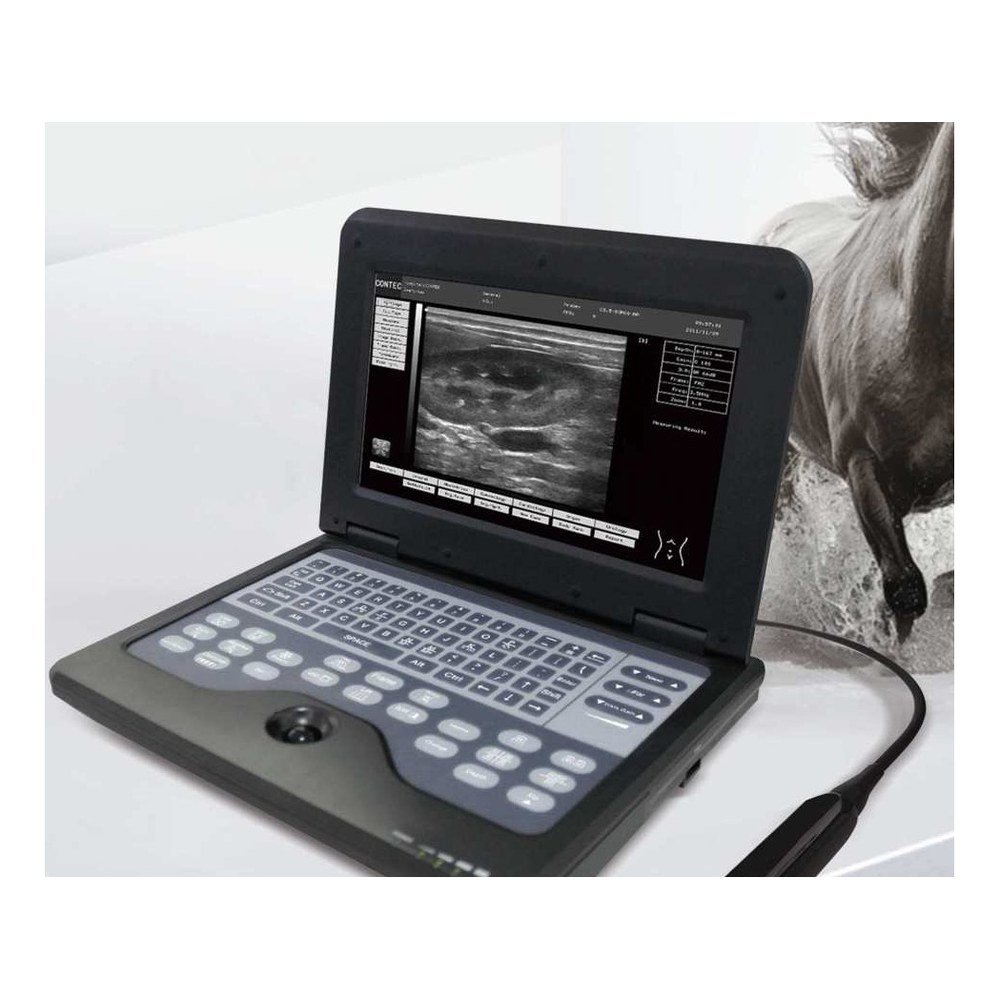 Sistema de diagnóstico por ultrasonido B CMS600P2VET